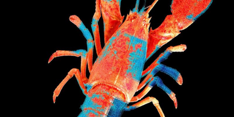 [Aggregator] Downloaded image for imported item #95519