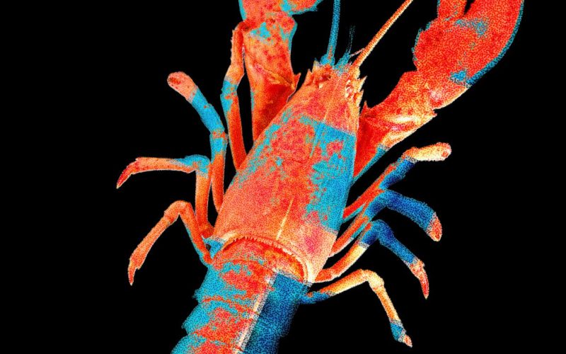 [Aggregator] Downloaded image for imported item #95519