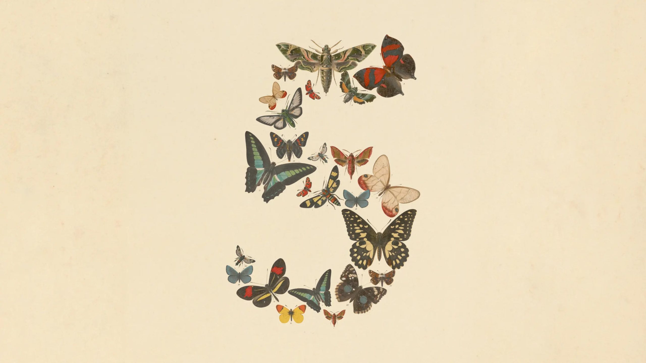 Fable 5, from Anthropic