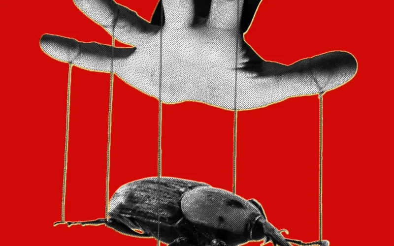 Kernelpanic the php meltdown shows how ai makes bugs more exploitable